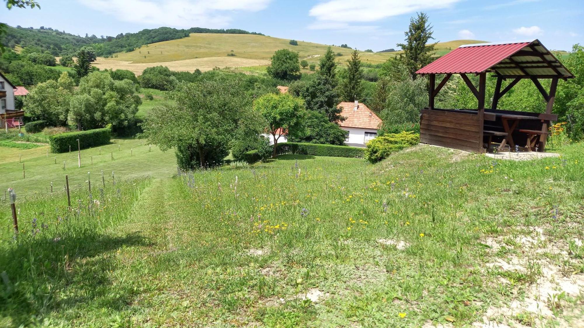 Vadászles Vendégház Bukkszentmarton Exterior foto