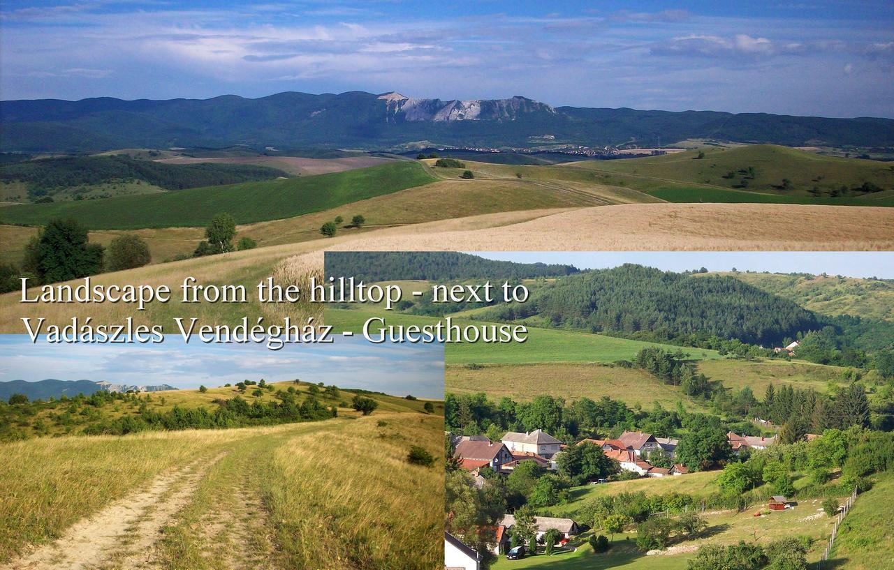 Vadászles Vendégház Bukkszentmarton Exterior foto